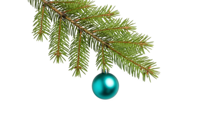Christmas tree branch with teal ornament, isolated on transparent background