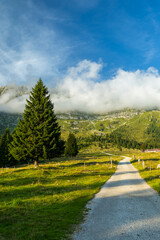 Mountain path leading through vibrant green landscape with clouds