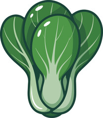 Bok choy vector illustration of a fresh Asian green vegetable with healthy leaves ready for cooking