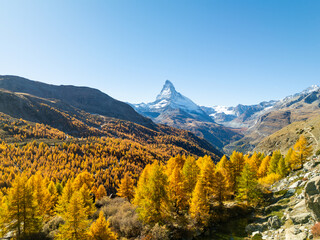 Matterhorn Mountain and Yellow Larches in Autumn on Sunny Day. Fall Colors. Swiss Alps. Aerial View. Zermatt, Valais, Switzerland