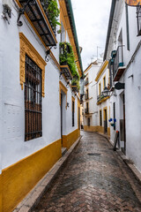 Old typical narrow street in Cordoba with old buildings with white walls decorated with colorful flower pots
