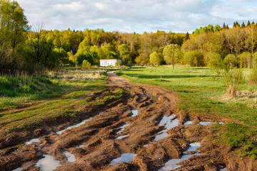 Deep muddy dirt road with tire tracks leading toward a small building amidst vibrant spring greenery and sunlit forest backdrop