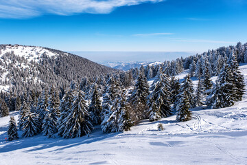 Snowy mountain view on a beautiful winter day, Kopaonik, Serbia