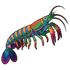 vector illustration of cartoon spider