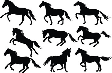 Fototapeta premium Collection of black horse silhouettes in various poses and movements