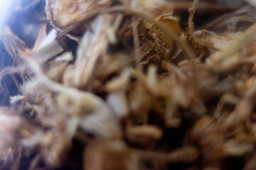 Macro photograph of dried tea leaves.