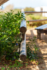 Wooden railing near lush greenery in a serene outdoor setting on a sunny day
