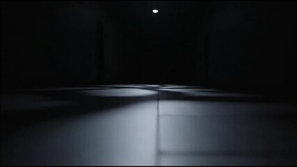 A handheld camera drifts through a pitch-black hallway. Only distant, echoing footsteps are seen as soft ripples of shadow cross the floor. Ultra dark minimal, unsettling mystery mood.