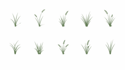 Collection of stylized blades of grass with some seed heads isolated