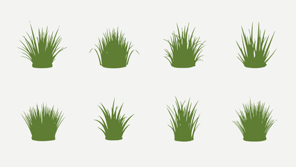 Clumps of Fresh Green Grass Isolated on White Background