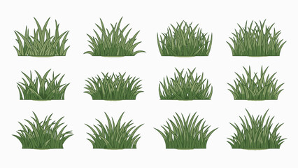 Diverse Green Grass Tufts Vector Illustration Set