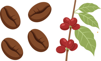 Vector Illustration of Coffee Beans and Coffee Plant Branch with Red Berries and Green Leaves, Representing Natural Growth and Roasted Ingredients for Beverage