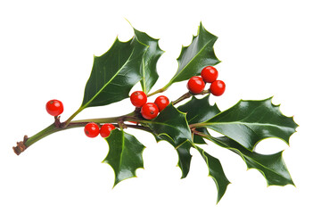 Festive Holly Branch Displaying Vibrant Green Leaves and Bright Red Berries Against a Black Background Symbolizing Christmas