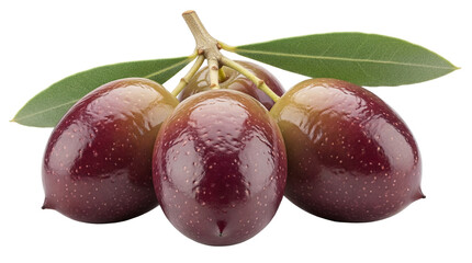 Fresh Kalamata olives on the branch isolated PNG, ripe dark purple fruits with green leaves on transparent background, healthy Mediterranean diet