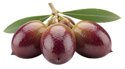 Fresh Kalamata olives on the branch isolated PNG, ripe dark purple fruits with green leaves on transparent background, healthy Mediterranean diet
