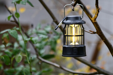 lamp hanging at a tree in the garden