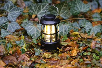 lantern on the ground in autumn