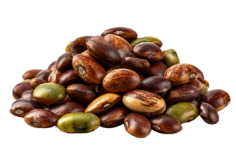 Pile of lima beans, also known as butter beans.   isolated on transparent background