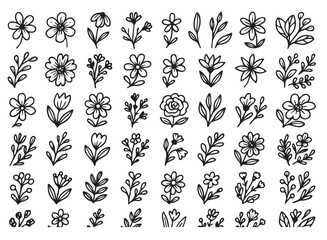 Outline Hand Drawn Floral Doodle Vector Set in Black and White