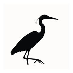 Silhouette of a great blue heron standing gracefully, isolated on