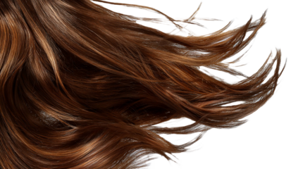 Close up view of flowing light brown hair, isolated.  isolated on transparent background