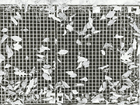 black and white background