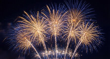 Fireworks in Night Sky. Dark Background with Colorful Salute.

