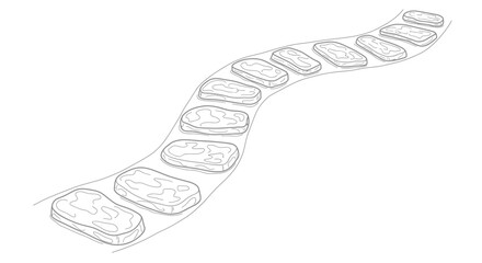 Steak pieces moving on a conveyor belt in a factory.