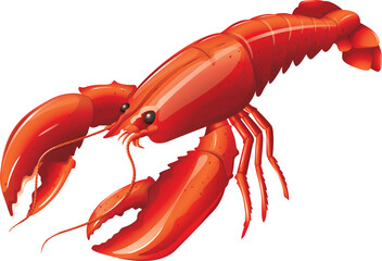 red lobster isolated on white