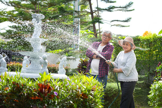Senior lifestyle with asian couple watering plants in garden, Asian senior couple watering garden together in backyard, Happy elderly couple enjoying outdoor gardening at home
