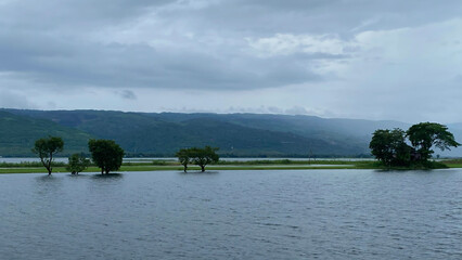 Fototapeta premium A moody, overcast day over a vast body of water with scattered trees and distant hills