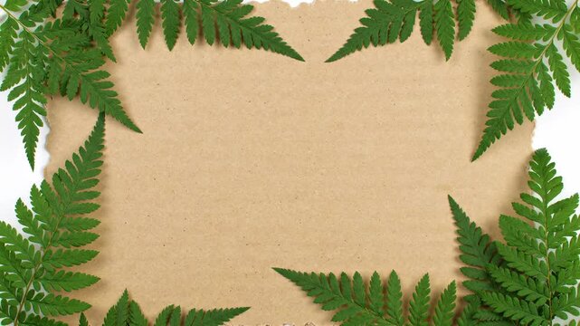 Green fern border framing natural paper texture background