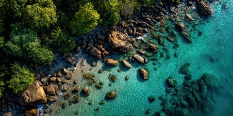 Aerial of a pristine tropical island coastline featuring dense green jungle, a rugged rocky shore, and clear turquoise sea.