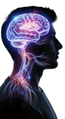 Obraz premium Glowing human brain and neural network connections