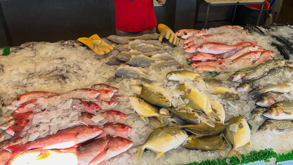 Selection of whole fish including red snapper and yellow pompano lies on display at Jessie Taylor Seafood.