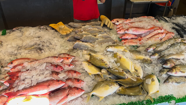 Selection of whole fish including red snapper and yellow pompano lies on display at Jessie Taylor Seafood.