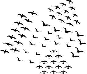 Fototapeta premium Silhouette of birds flying in the sky, transparent effect, white background.