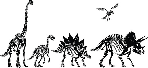 Dinosaur skeleton silhouettes, prehistoric creatures, fossil illustration, paleontology icons, flying reptile, ancient bones, educational graphic, extinct species, museum exhibit © Mst