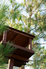 Wooden Birdhouse on a Tree in Summer Forest