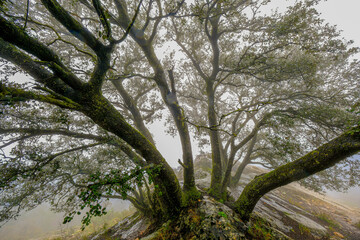 Obraz premium On the way to Bolumini cave from Mariola campsite in Alfafara, Alicante, Spain.