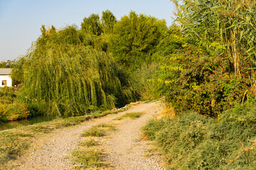 Countryside dirt road along river at sunset