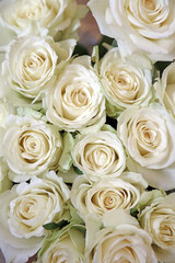 Macro image of a bouquet of white Roses, Walsall England
