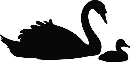 Fototapeta premium Black Silhouette of a Mother Swan and Cygnet Swimming Together, Representing Parenthood, Family, Wildlife, Nature, and Animal Protection