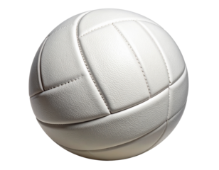 Dynamic Volleyball Spike Action