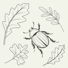Beetle and Oak Leaves Illustration on a Light Background insect leaf