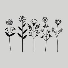 Black Silhouette Line Art Of Five Different Wildflowers On Gray Background botanical nature