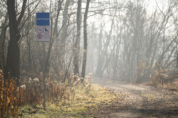 Waldweg November