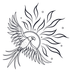 Phoenix bird flying with sun, line art drawing
