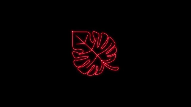 Cannabis leaf icon animation with a saber neon line on a black background.