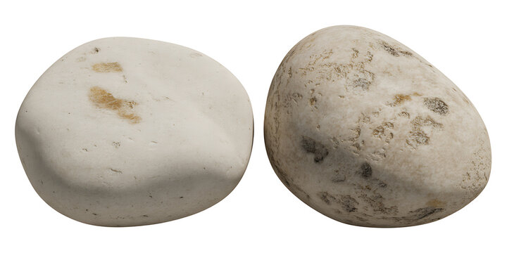 Two lightcolored, smooth stones with textured patches, isolated on white background